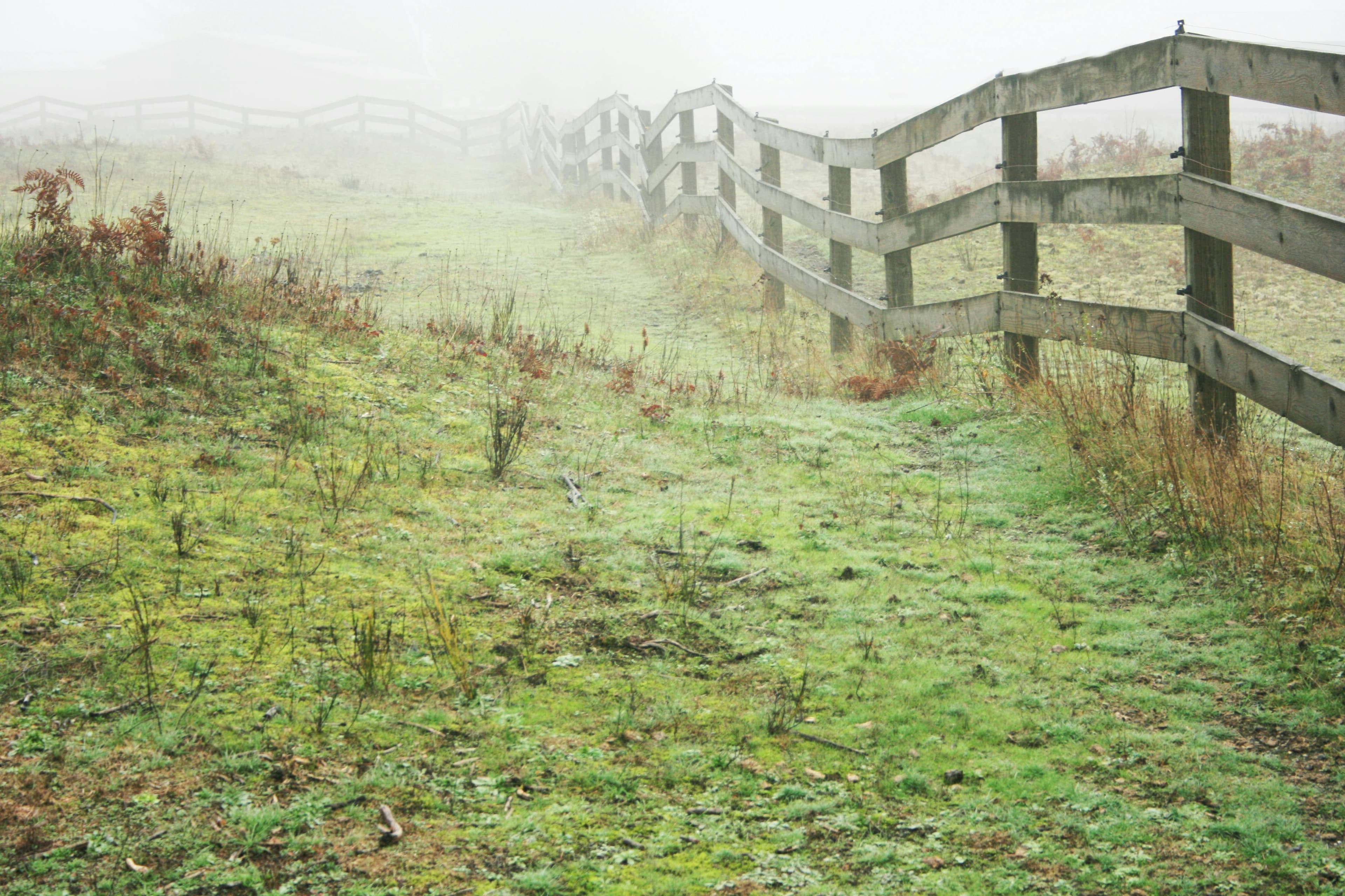Residential boundary fencing in Coos County