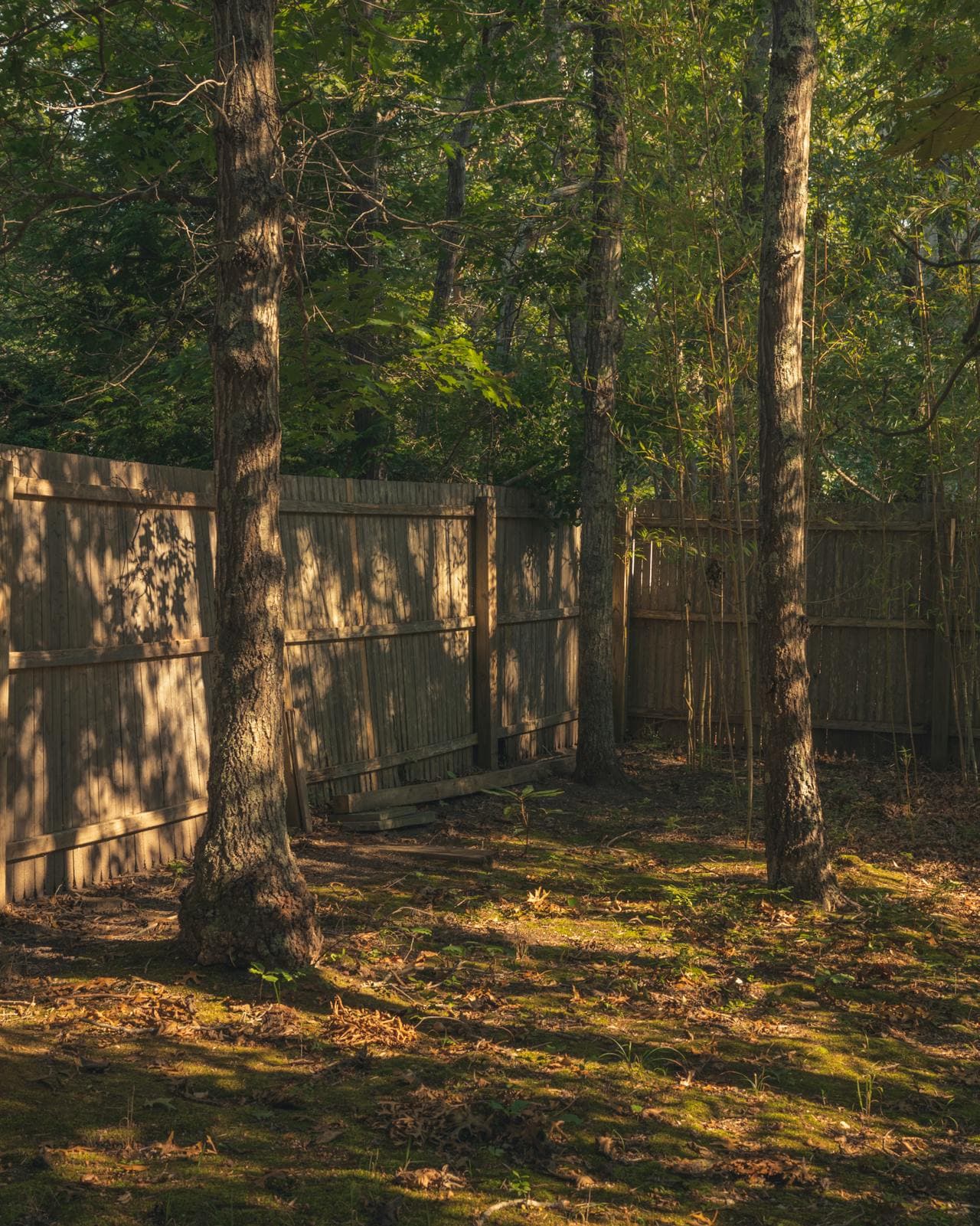 Privacy fence installation in Coos County