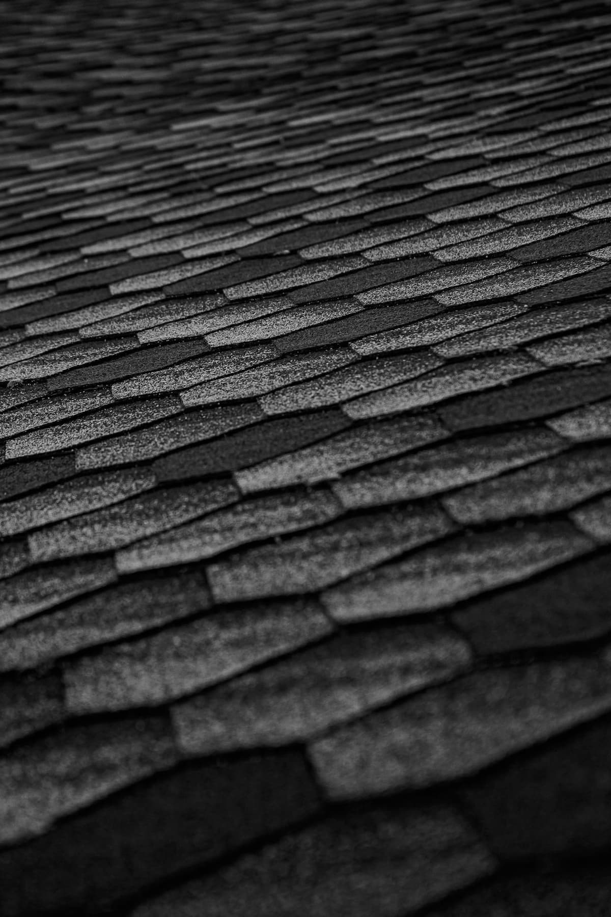 Asphalt roof detail